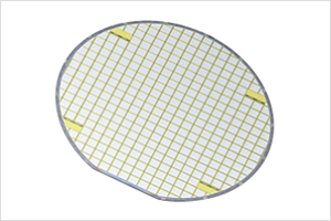 Semiconductor Foundry